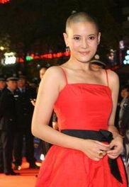 何嘉仪网红,从网红到影响力人物，她的蜕变之路”